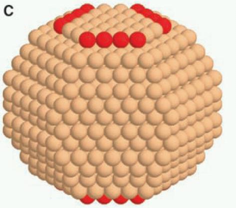 Shape of a Ru nanoparticle from computer simulation